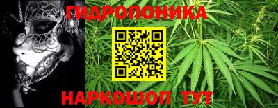 каннабис Будённовск