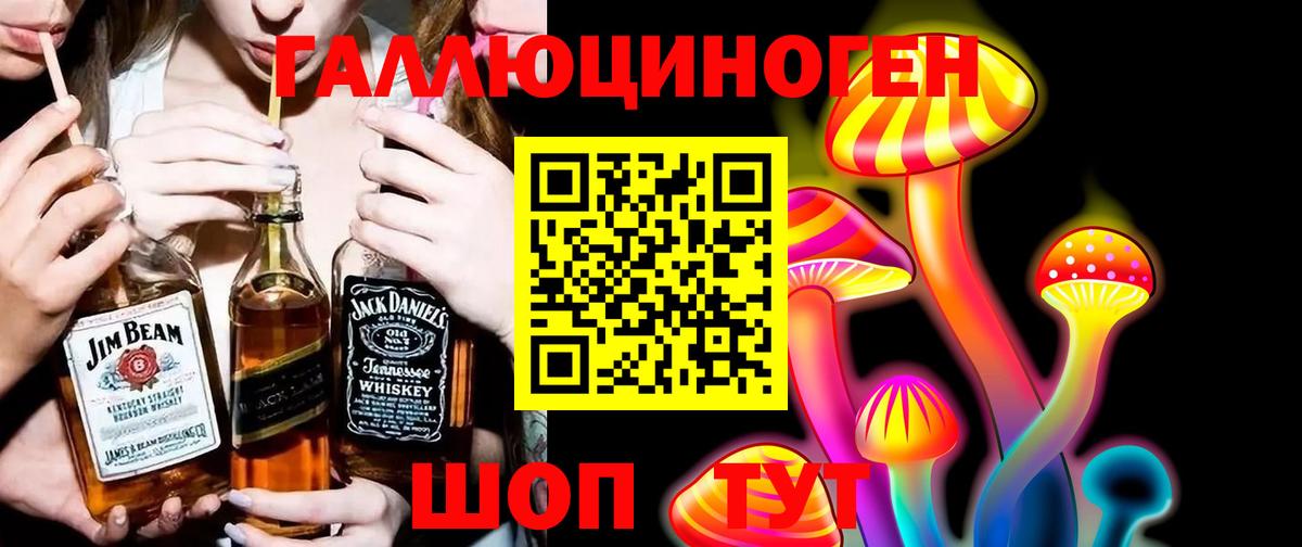 Саранск  Галлюциногенные грибы Psilocybine cubensis  Вход с VPN 